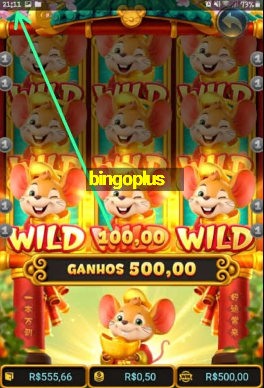 bingoplus