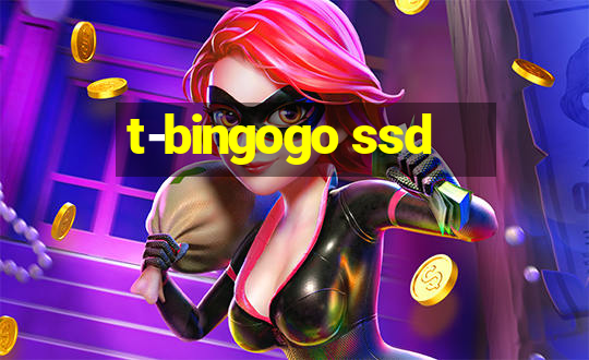 t-bingogo ssd