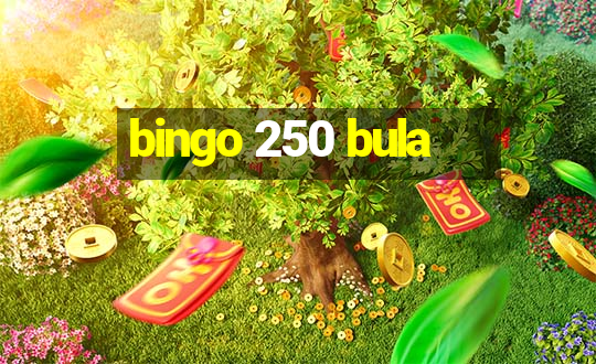 bingo 250 bula