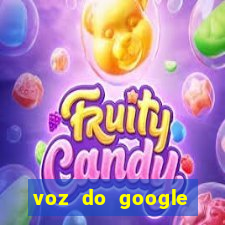 voz do google tradutor homem