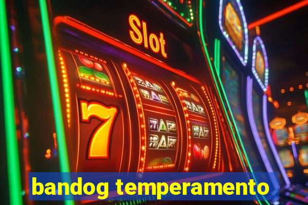 bandog temperamento