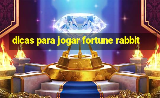 dicas para jogar fortune rabbit