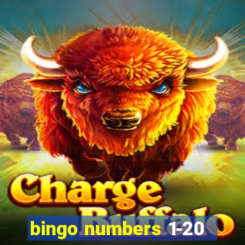 bingo numbers 1-20