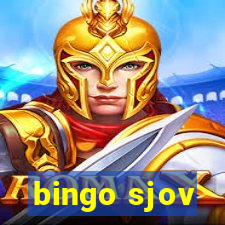 bingo sjov