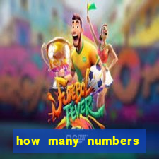 how many numbers in bingo