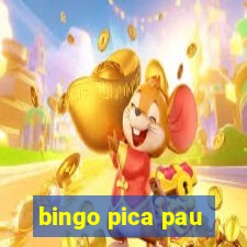 bingo pica pau