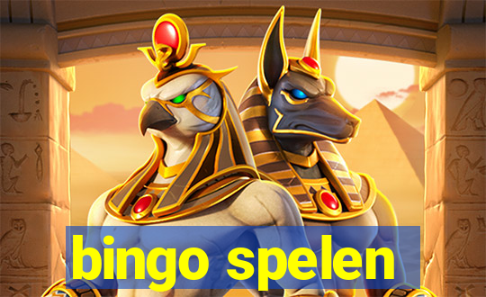 bingo spelen