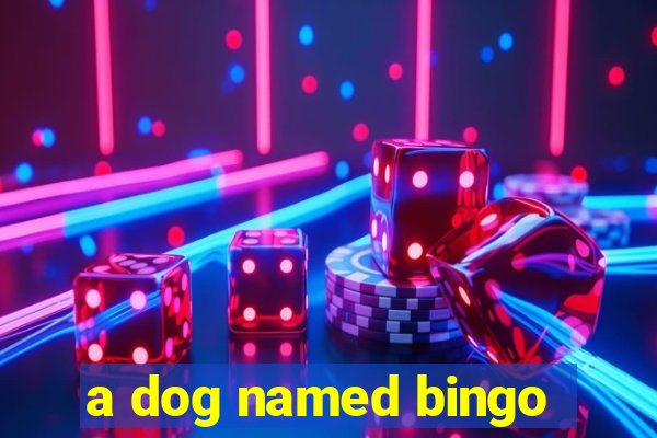 a dog named bingo