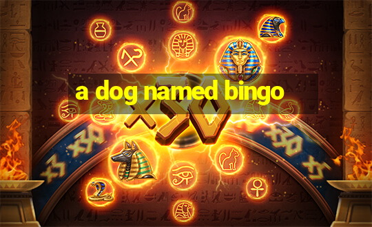 a dog named bingo