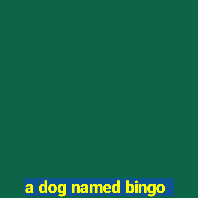 a dog named bingo