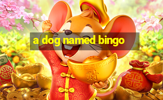 a dog named bingo