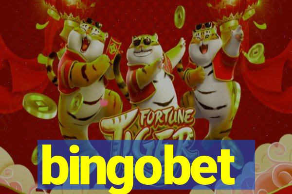 bingobet