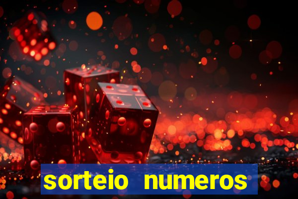 sorteio numeros bingo online