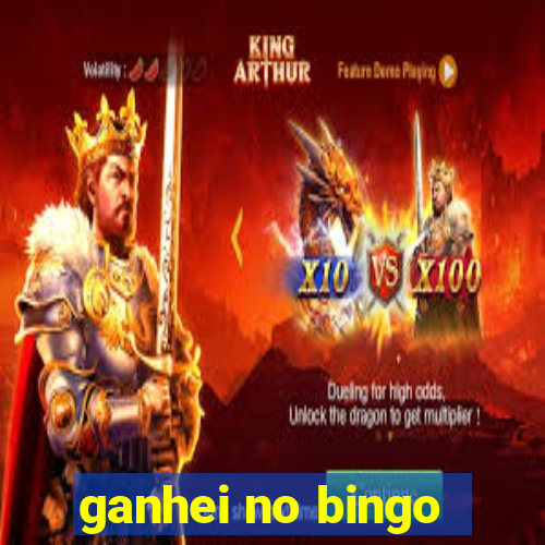 ganhei no bingo