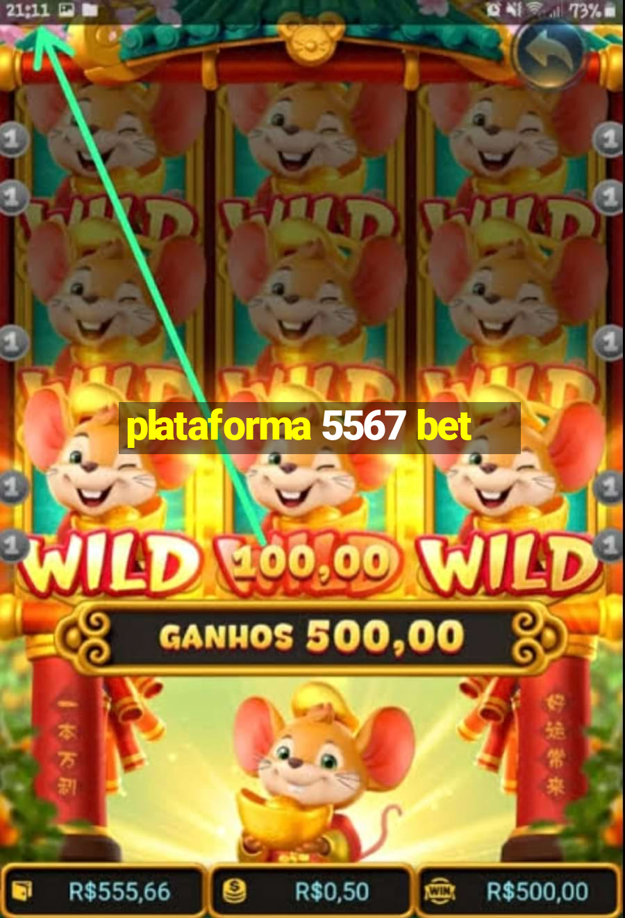 plataforma 5567 bet