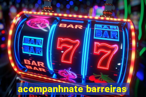 acompanhnate barreiras