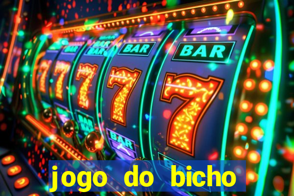 jogo do bicho crash bingo