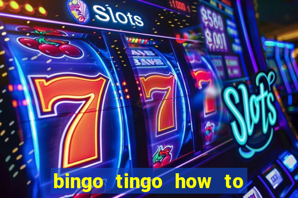 bingo tingo how to use canva