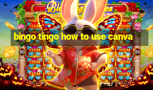 bingo tingo how to use canva