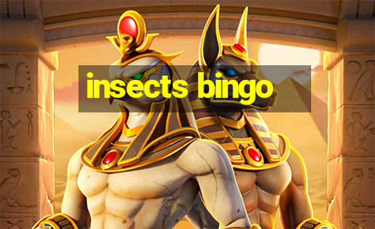 insects bingo