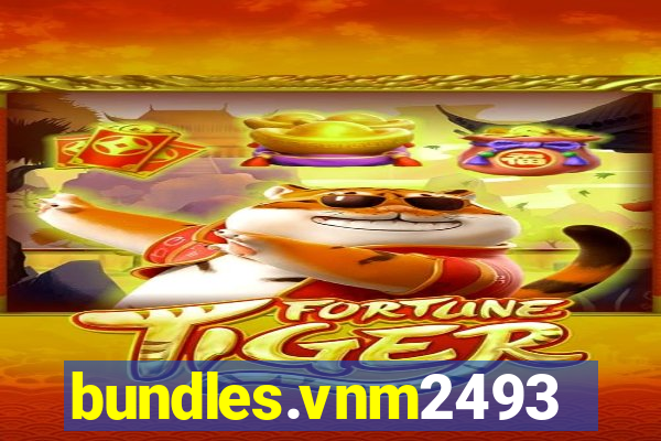 bundles.vnm2493