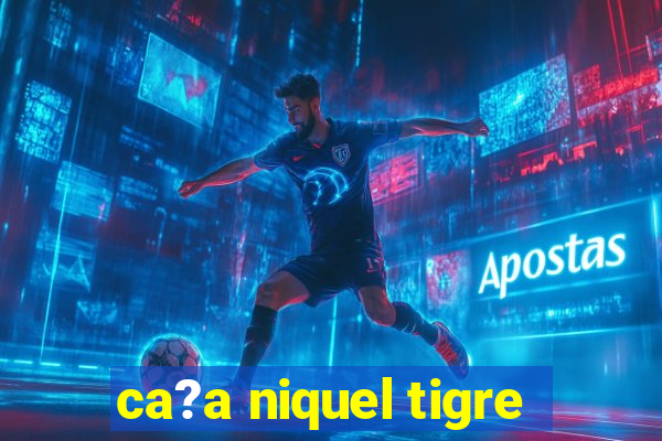 ca?a niquel tigre