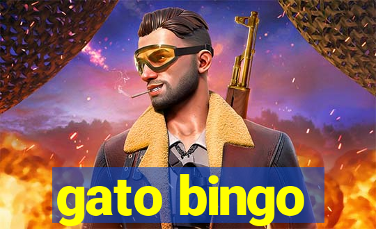 gato bingo