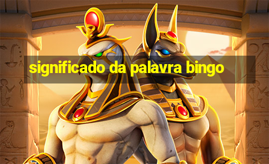 significado da palavra bingo