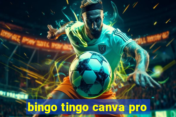 bingo tingo canva pro