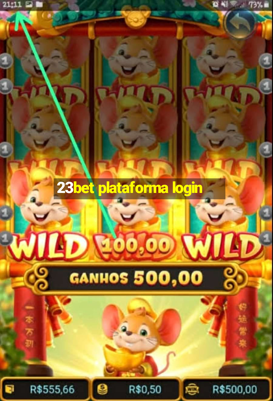 23bet plataforma login