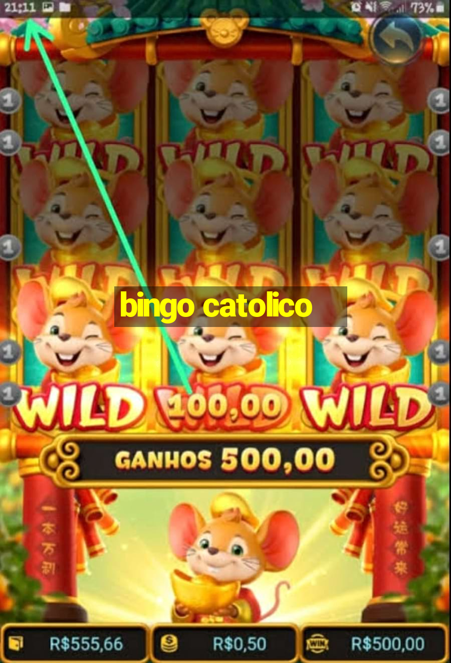 bingo catolico