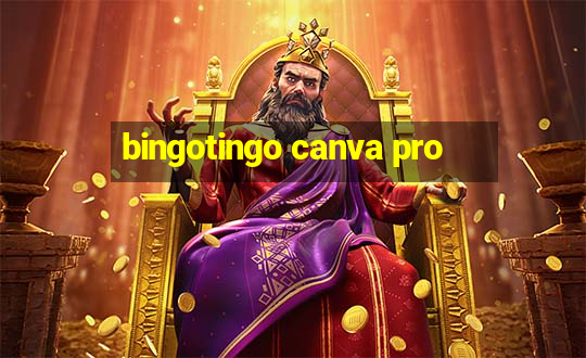 bingotingo canva pro