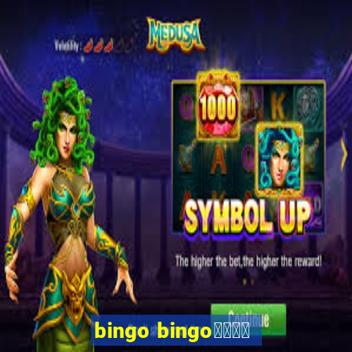 bingo bingo線上投注