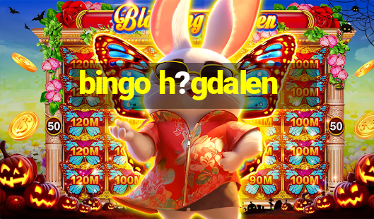 bingo h?gdalen