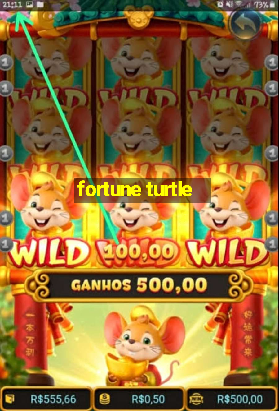 fortune turtle