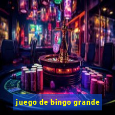 juego de bingo grande