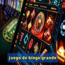 juego de bingo grande