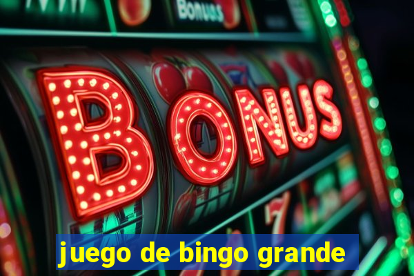 juego de bingo grande