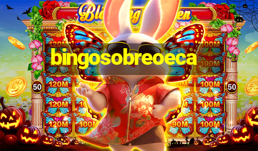 bingosobreoeca