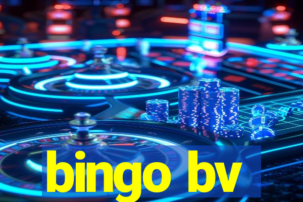 bingo bv