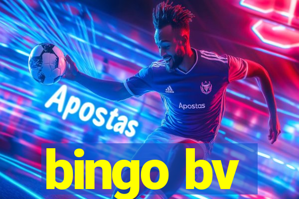 bingo bv