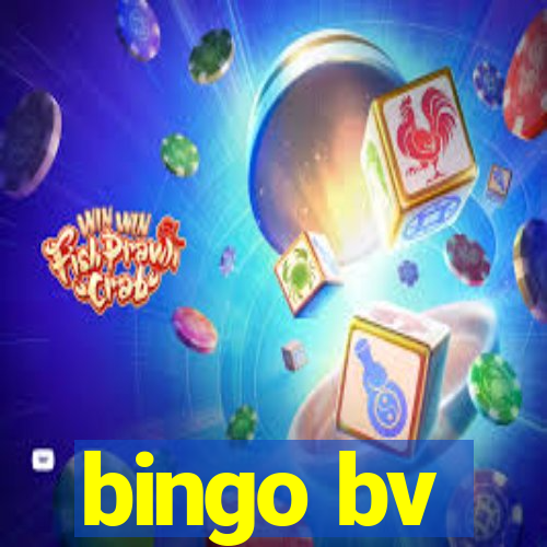 bingo bv