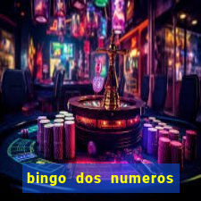 bingo dos numeros de 1 a 30