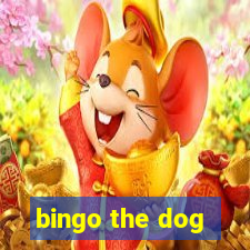 bingo the dog