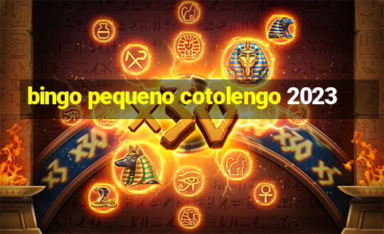 bingo pequeno cotolengo 2023