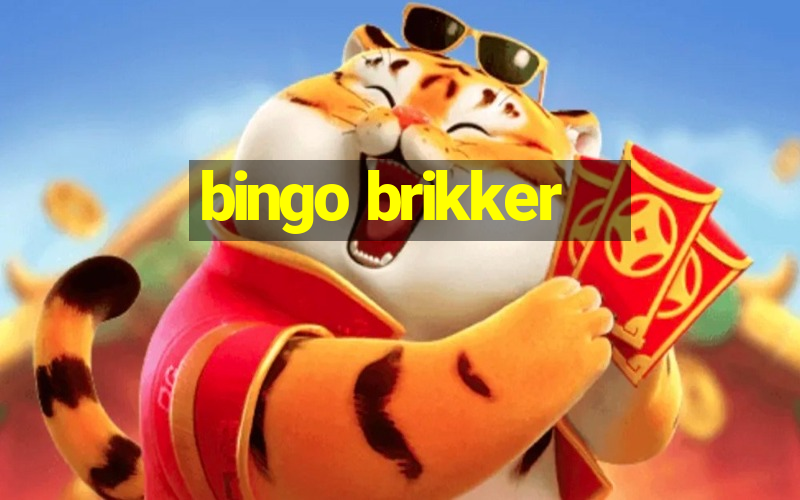 bingo brikker