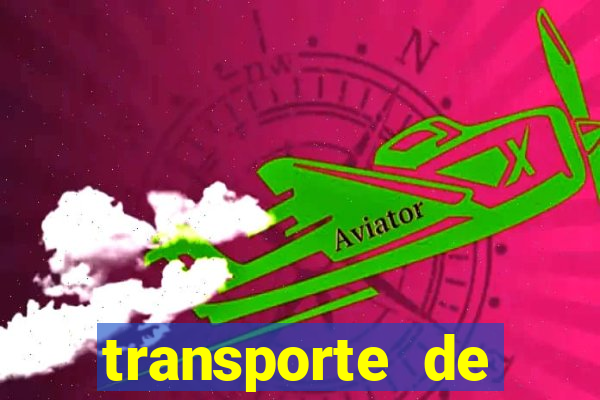 transporte de passageiros são jerônimo