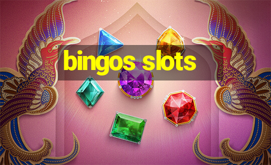 bingos slots