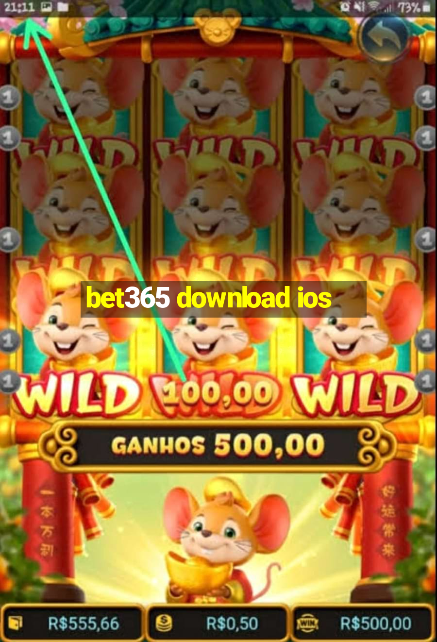 bet365 download ios