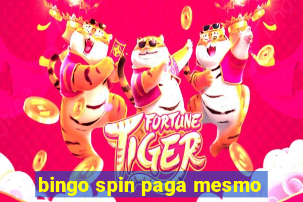 bingo spin paga mesmo